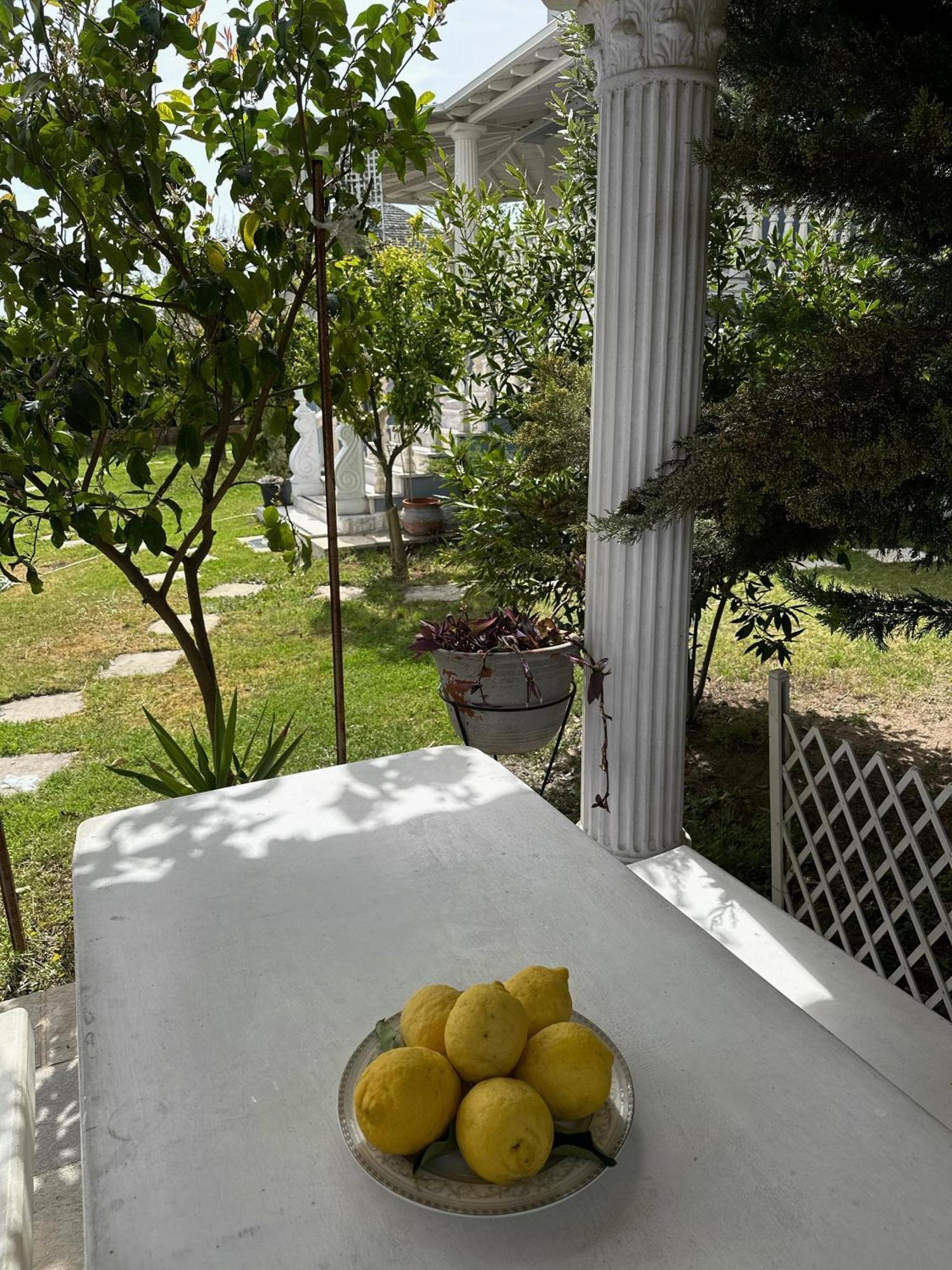Villa Spartandom Gerakini Extérieur photo